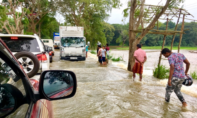 අනුරාධපුරයෙත් රැසක් අවතැන්