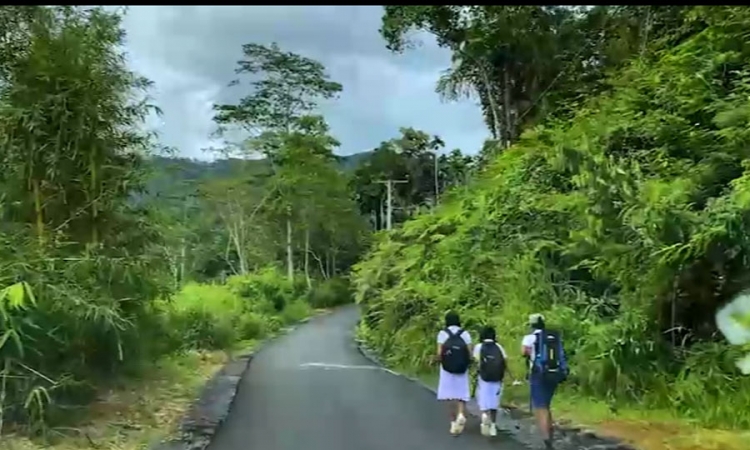 ලංකාගම-පිටදෙණිය මාර්ගය දින 90කින් ඉදිකිරීමට යුද හමුදාව සමත්වෙයි