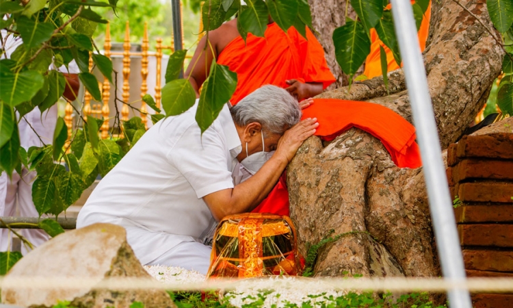 ජනපති ජය ශ්‍රී මහා බෝධීන් වහන්සේ වැඳ ආශිර්වාද ලබා ගනී