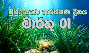 &#039;මුහුදු තෘණ ආරක්ෂණ දිනය&#039; පිළිබඳ යෝජනාව සම්මත වෙයි