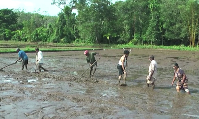 යළිත් පුරන් කුඹුරු අස් වැද්දීමේ වැඩසටහනක්