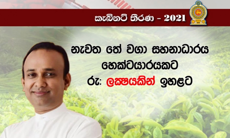 තේ නැවත වගා කිරීමට පිරිනැමෙන සහනාධාරය හෙක්ටයාරයකට රු. ලක්‍ෂ 4 සිට ලක්‍ෂ 5 දක්වා ඉහළට