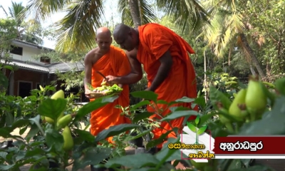 “සෞභාග්‍යා ගෙවත්ත” සාර්ථකව ක්‍රියාත්මකයි (වීඩියෝ)