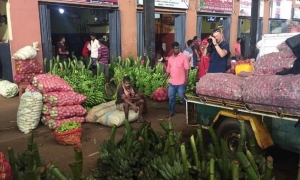 අද රතුඑළිය, වවුනියාව ආර්ථික මධ්‍යස්ථානයට (වීඩියෝ)