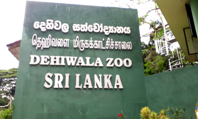 දෙහිවල සත්තුන්ට නම් තබන්න දරුවන්ටත් අවස්ථාවක්