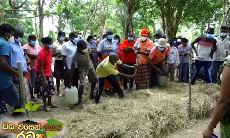 කාබනික පොහොර නිෂ්පාදනයට දීමනාවක්...(වීඩියෝ)