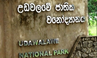 උඩවලවට යන්න අළුත් පාරක් (වීඩියෝ)