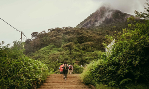 අවාරේ සිරිපා කරුණාව තහනම්