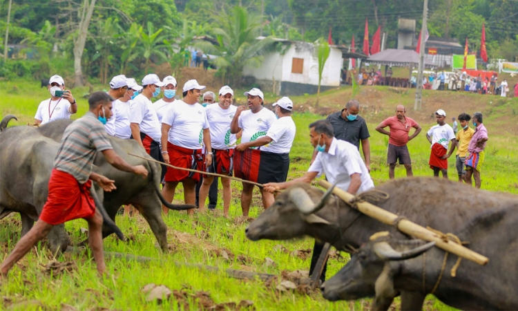 පුරන් කුඹුරු අස්වැද්දීමේ ජාතික ක්‍රියාන්විතය ඇරඹෙයි