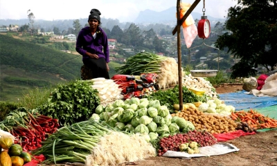 ගොවීන්ගෙන් එළවලු - පළතුරු මිලට ගැනීමේ තවත් අදියරක් අද