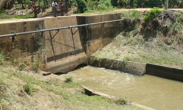 තවත් පාලම් කිහිපයක වැඩ ඇරඹේ