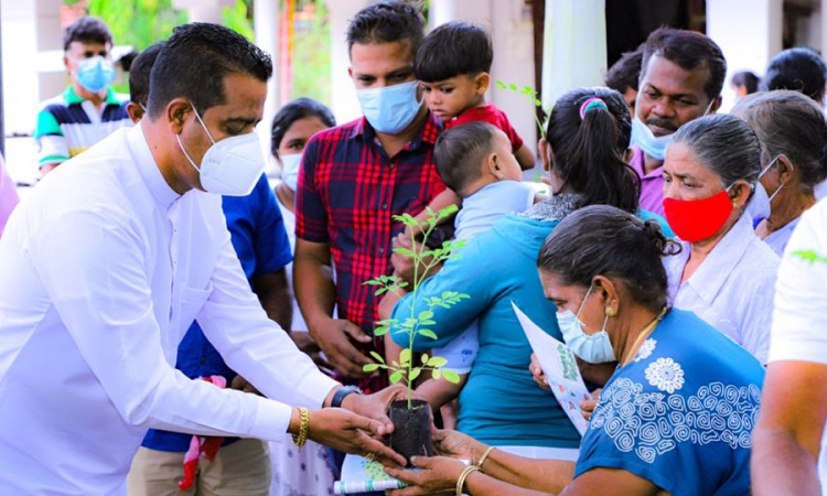 පුත්තලම හිසතෙල් ගෑමේ උත්සවය ශ්‍රී ආනන්දාරාමයේ දී