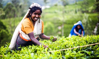 වතුකම්කරුවන්ට අය වැයෙන් දීමනාවක්