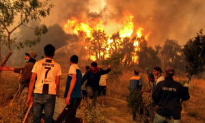 අධික උෂ්ණත්වය නිසා දරුණු වන ඇල්ජීරියාවේ ලැව් ගිනි