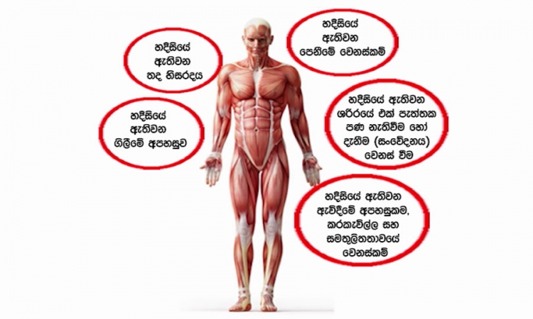 ජාතික ආඝාත දිනය අදයි