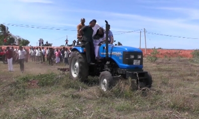 කන්තලේ අක්කර 20,000ක බඩඉරිඟු වගා කිරීමට පියවර