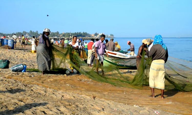 අතමිට සරු වූ මාදැල් ධීවරයින්