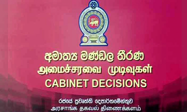 සමාගම් 05කට කිරි ගවයින් ආනයනයට කැබිනට් අනුමැතිය