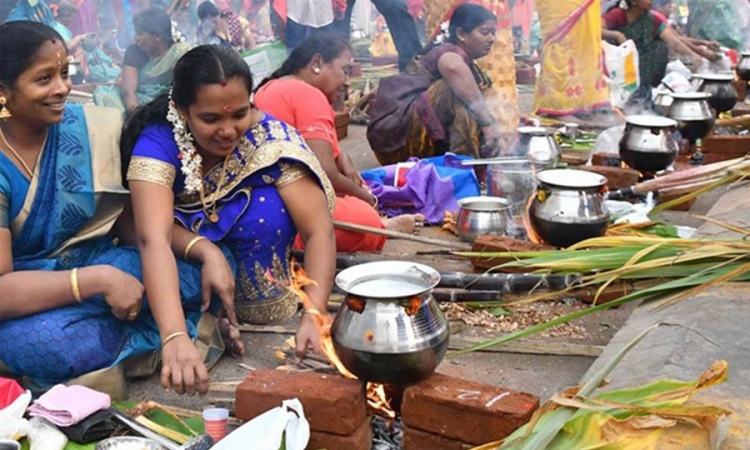 හින්දු බැතිමතුන්ගේ තෛපොංගල් දිනය අදයි (වීඩියෝ)