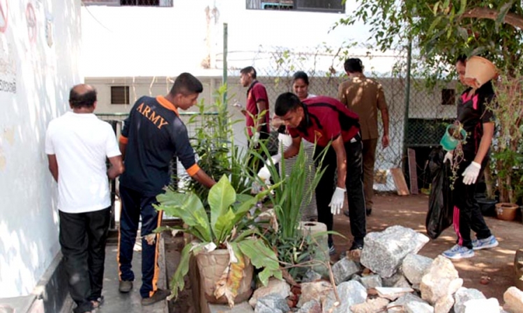 බස්නාහිරට ඩෙංගු අධිඅවදානමක්