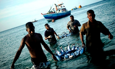 ධීවරයන්ට හදිසි උපදෙස් මාලාවක්