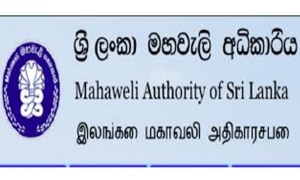 මහවැලි සී කලාපයේ පදිංචිව සිටින්නට ඉඩම් ඔප්පු