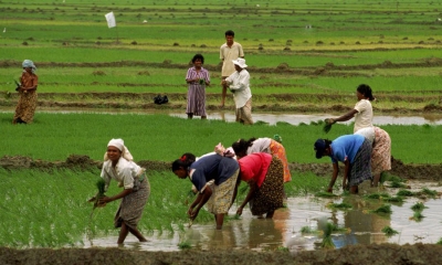 ගොවි හැදුනුම්පත ඉදිරිපත් කර දින දෙකෙන් අඩු පොලියට ණය