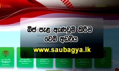 ආහාර නිෂ්පාදනය කඩිනම් කරන &quot;සෞභාග්‍ය ගෙවත්ත&quot;