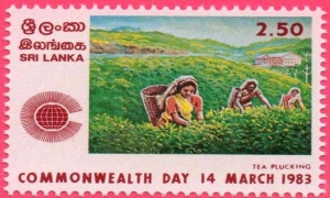 “කොළඹ මුද්දර දැක්ම” ඇරඹේ