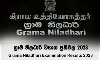 ග්‍රාම නිලධාරී විභාග ප්‍රතිඵල නිකුත්වෙයි