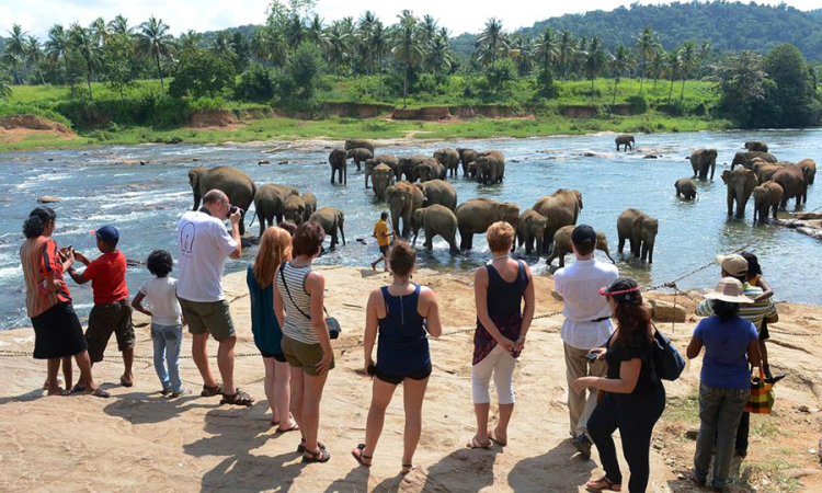 සති 3ට සංචාරකයින් 127,925ක් මෙරටට