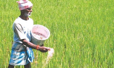 ගොවීන්ට නොමිලයේ පොහොර ලබාදීම අඛණ්ඩව (වීඩියෝ)