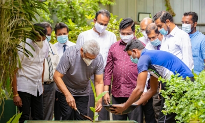 “සෑම ගෙවත්තකටම කහ පැල” ජාතික වැඩසටහන ජනපති ප්‍රධානත්වයෙන් ඇරඹේ