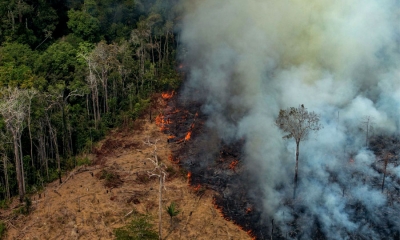 ඇමසන් රැකගන්න නන්දෙසින් ආධාර