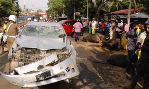 මෝටර් රථයක ගැටී මිගවයින් 05ක් මරුට