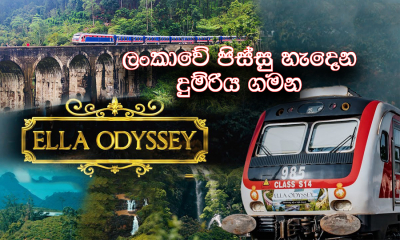 ලංකාවේ පිස්සු හැදෙන දුම්රිය ගමන, ඇල්ල ඔඩිසි  (වීඩියෝ)