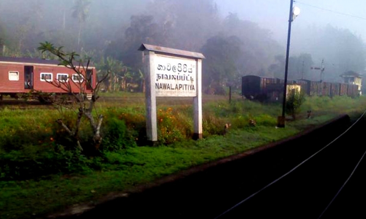 දුම්රියක ගැටී තරුණියක් හා තරුණයෙක් මරුට