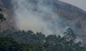 බෝපත්තලාව කදුවැටියේ ගින්නක්