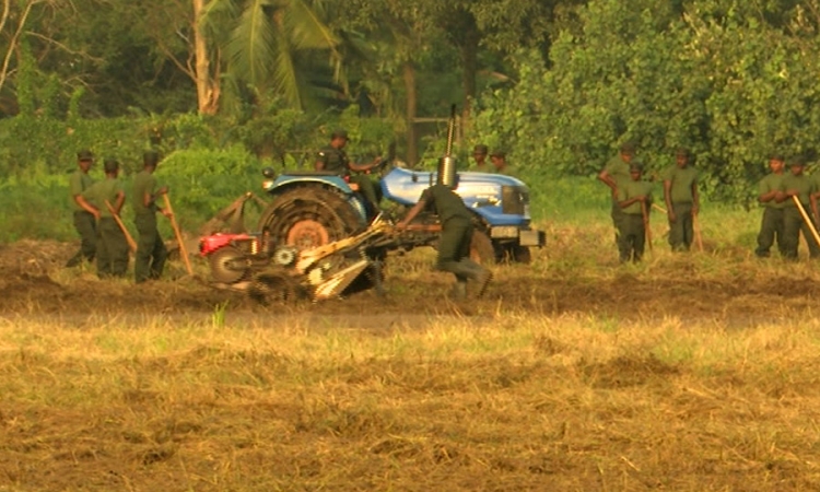 පුරන් කුඹුරු අස්වැද්දීමට යුද හමුදාව සැරසේ