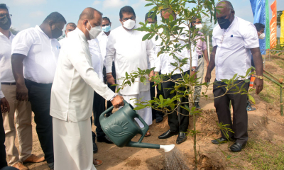 වත්මන් රජයේ පළමු සෝර්ජාන් වගා ව්‍යාපෘතිය කිරිබත්ගොඩ දී